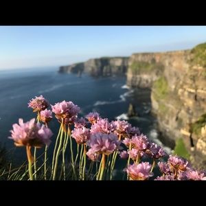 Meet your Posher, Tanis